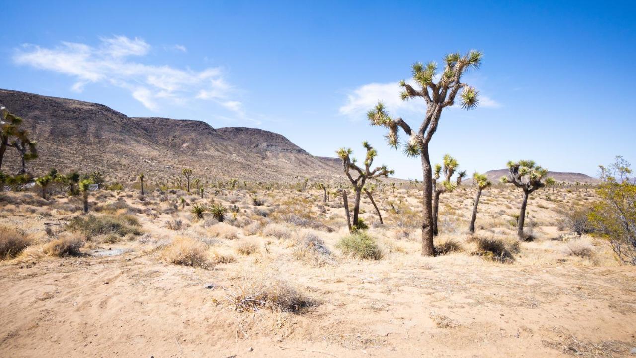 فندق Wind Hill يوككا فالي المظهر الخارجي الصورة